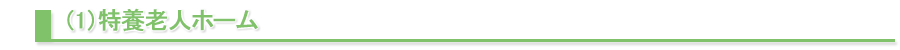 （1）特養老人ホーム
